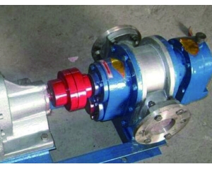 LC不銹鋼羅茨泵