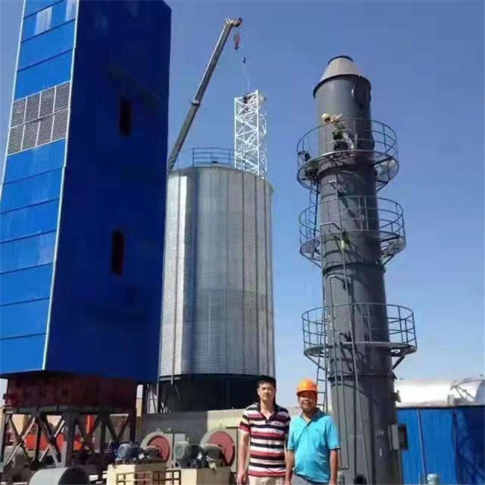 中儲糧鍋爐除塵脫硫一體化